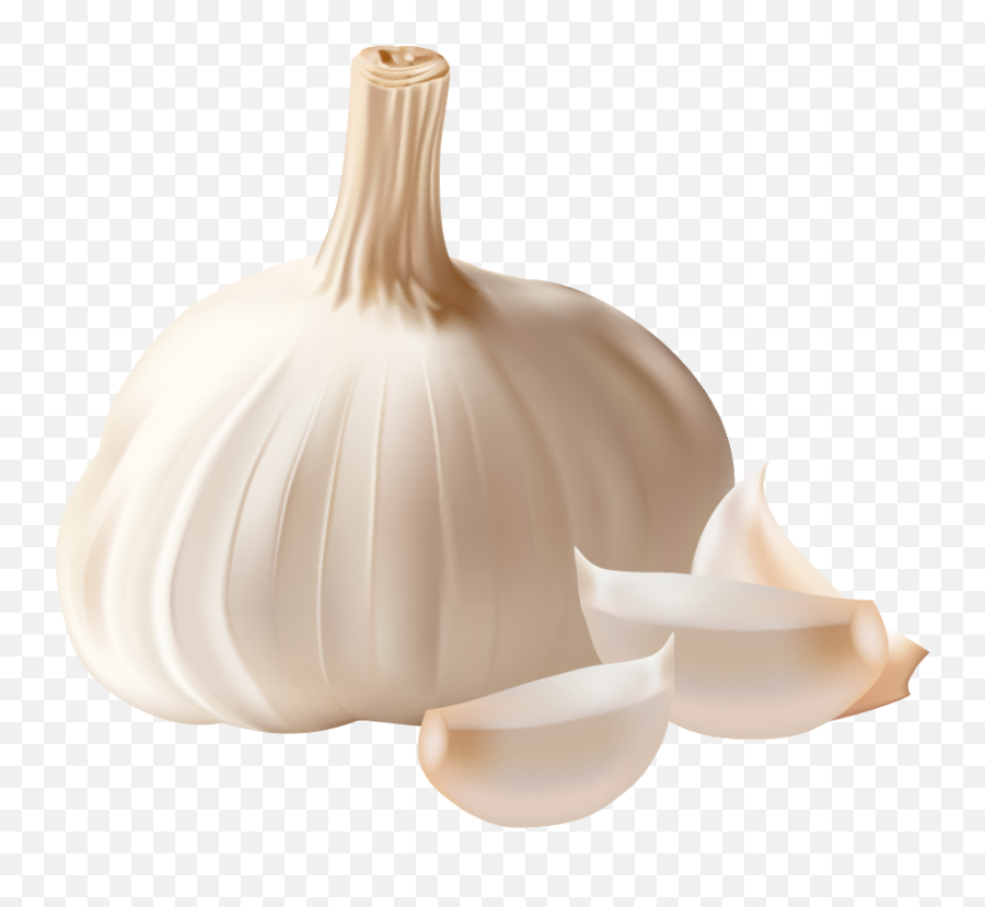 Garlic Clipart - Garlic Png Emoji,Garlic Emoji