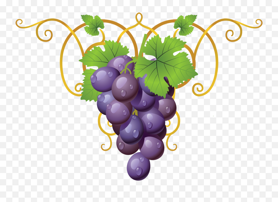 Grapevine Clipart Transparent - Grapes Clip Art Emoji,Raisin Emoji
