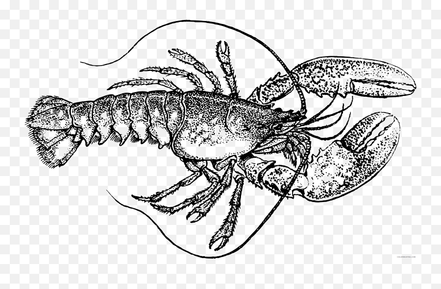 Vintage Lobster Coloring Pages Lobster - Vintage Lobster Illustration Emoji,Lobster Emoji