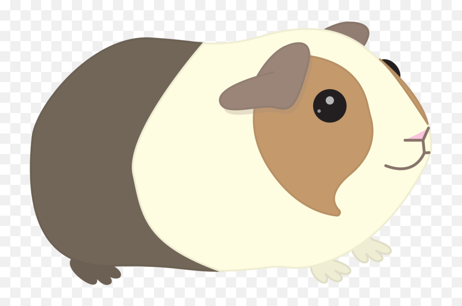 Guinea Pig Clipart Png - Guinea Pig Clipart Png Emoji,Guinea Pig Emoji