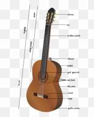 Acoustic Guitar - Gitarn Bölümleri Emoji,Musical Note Emoji