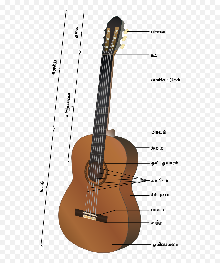 Acoustic Guitar - Gitarn Bölümleri Emoji,Musical Note Emoji