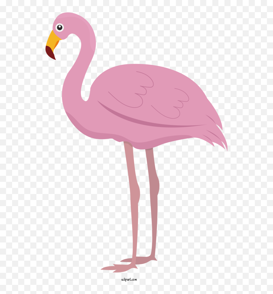 Animals Greater Flamingo Birds Cartoon - Soft Emoji,Flamingo Emoji
