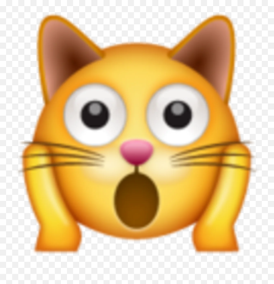 El Significado De Los Emojis De Whatsapp Qué Significa Cada Uno - Weary Cat Emoji Whatsapp,Significado De Emojis