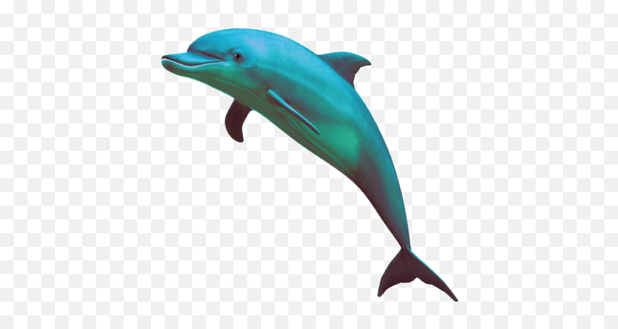 Largest Collection Of Free - Toedit Dauphins Stickers Seapunk Dolphin Emoji,Miami Dolphins Emoji