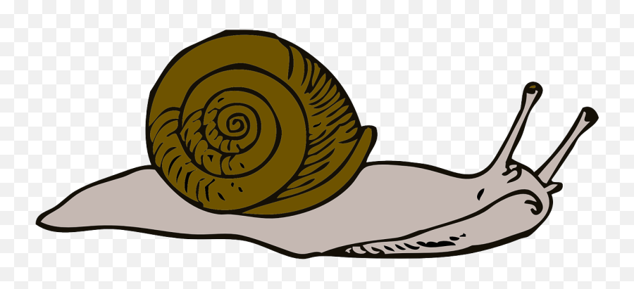 Free Snail Transparent Download Free Clip Art Free Clip - Slow Snail Clipart Emoji,Snail Emoji