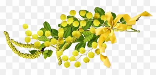 The Newest Mimosa Stickers - Maidenhair Tree Emoji,Mimosa Emoji