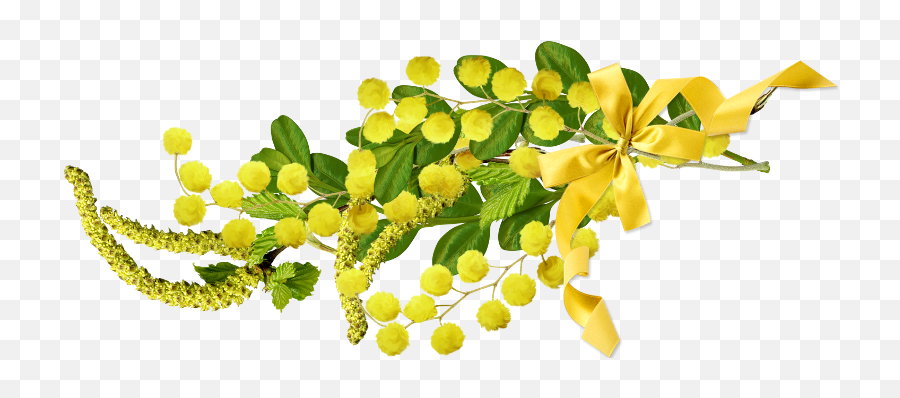 The Newest Mimosa Stickers - Maidenhair Tree Emoji,Mimosa Emoji