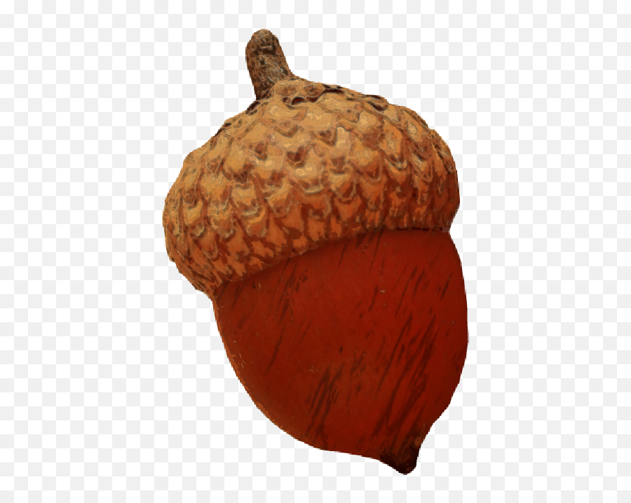 Acorn Nut Oak Tree Oaktree Squirrel Autumn Fall Leaves - Coin Purse Emoji,Acorn Emoji