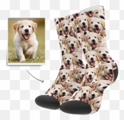 Personalized Face Socks - Put Your Photo On Socks Myfaceboxer Socken Hundegesicht Emoji,Emoji Socks
