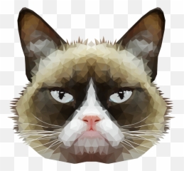 American Wirehair Grumpy Cat Whiskers Domestic Short - Cat Head Transparent Background Emoji,Grumpy Cat Emoji