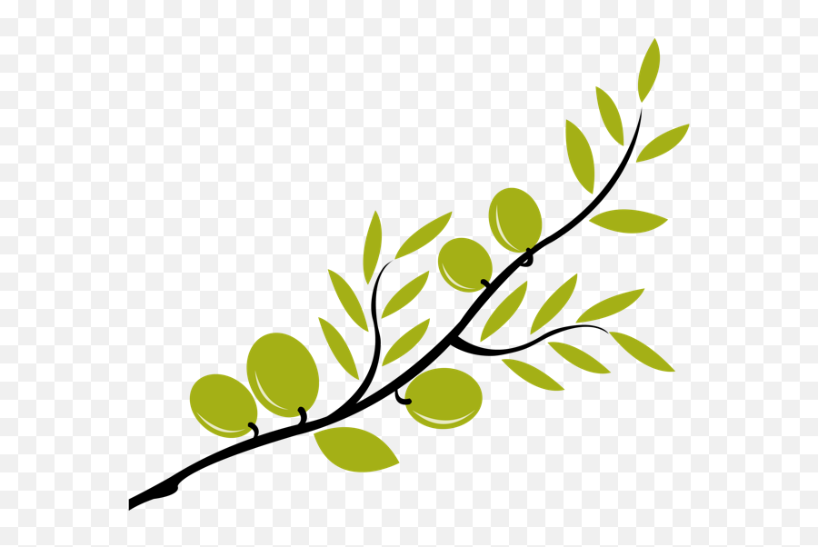 Greek Clipart Olive Branch Greek Olive - Transparent Background Olive Branch Clipart Emoji,Olive Branch Emoji