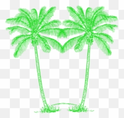 Download HD Palm Tree Clipart Double - Green Png Art Logo Emoji