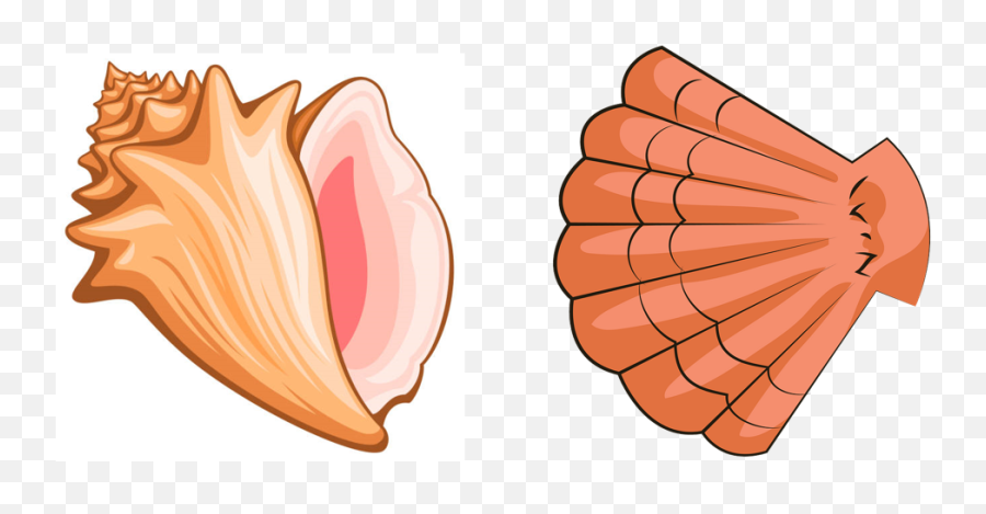 Compass L 17 - 20 Baamboozle Conch Shell Vector Emoji,Seashell Emoji