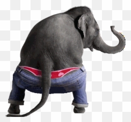 Butt Cheek Stickers For Android Ios - Elephant Funny Emoji