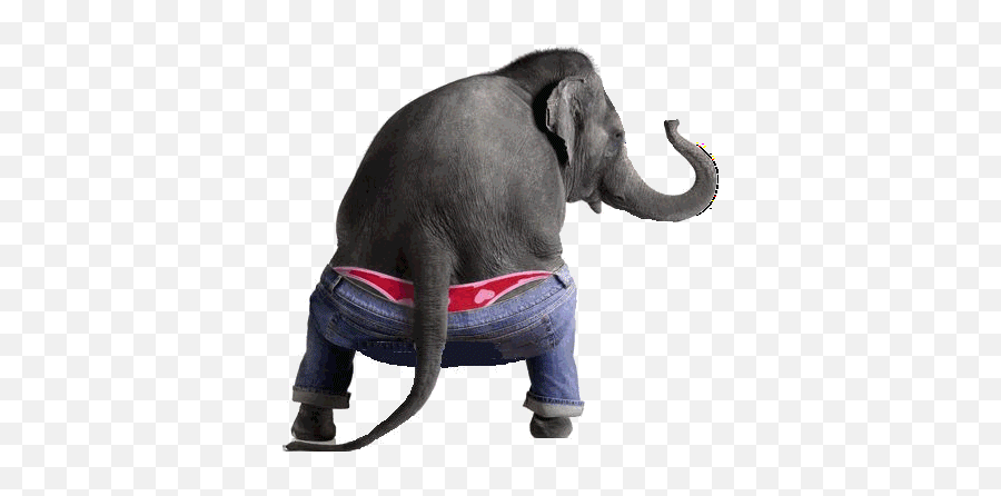 Butt Cheek Stickers For Android Ios - Elephant Funny Emoji,Buttcheek Emoji
