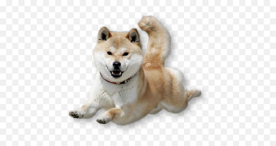 Dancing Doge Png Vector Freeuse Library - Shiba Inu Transparent Emoji,Doge Emoji