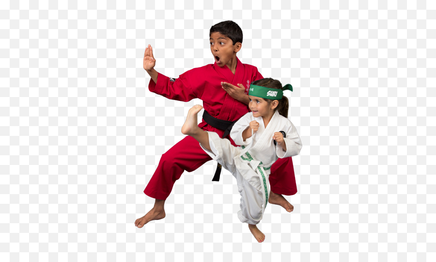Karate - Taekwondo Kids Self Defense Emoji,Karate Emoji