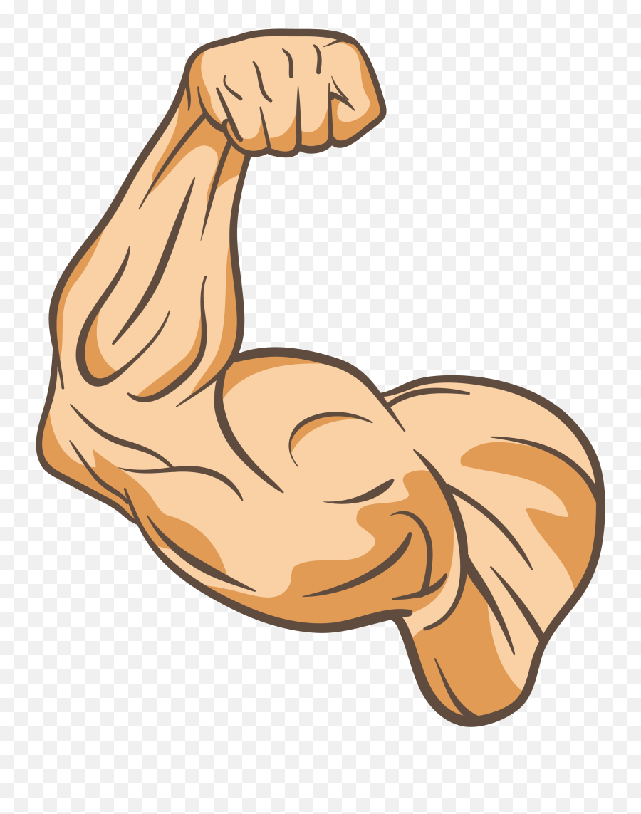 Download Muscle Clip Art - Muscle Clip Art Png Full Size Muscle Arm Cartoon Png Emoji,Muscle Emoji Png