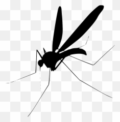 High Resolution - Transparent Background Mosquito Clipart Emoji,Mosquito Emoji