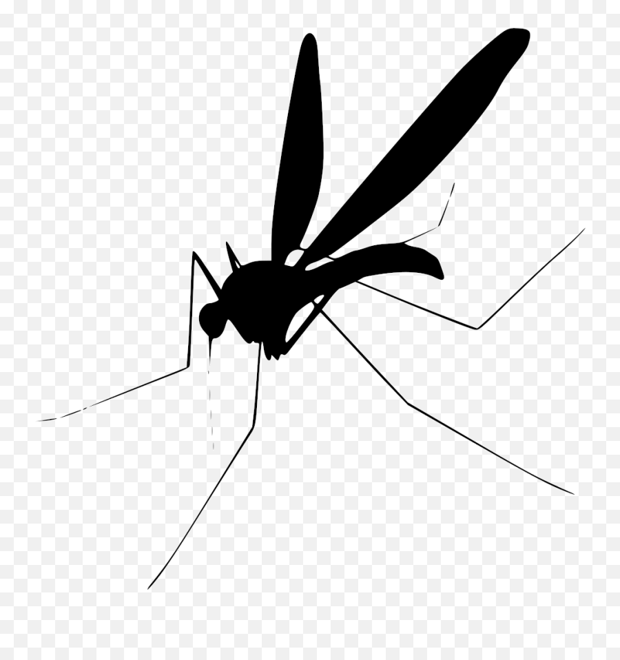 High Resolution - Transparent Background Mosquito Clipart Emoji,Mosquito Emoji
