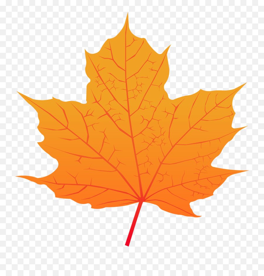 Maple Leaf - Maple Leaf Png Vector Emoji,Maple Leaf Emoji