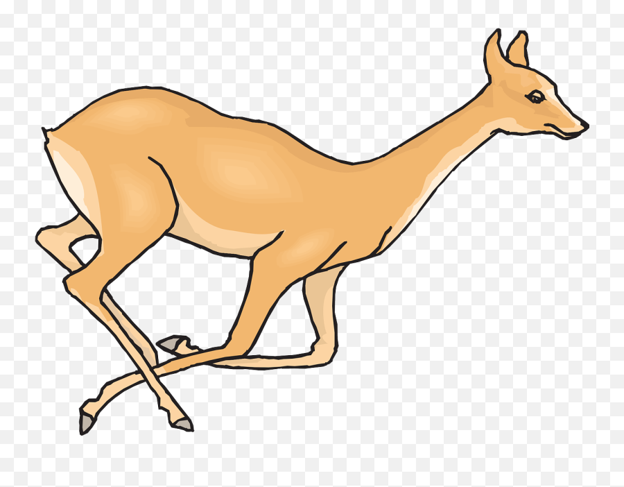 Deer Running Leaping Fleeing Wildlife - Drawing For Running Deer Emoji,Whitetail Deer Emoji