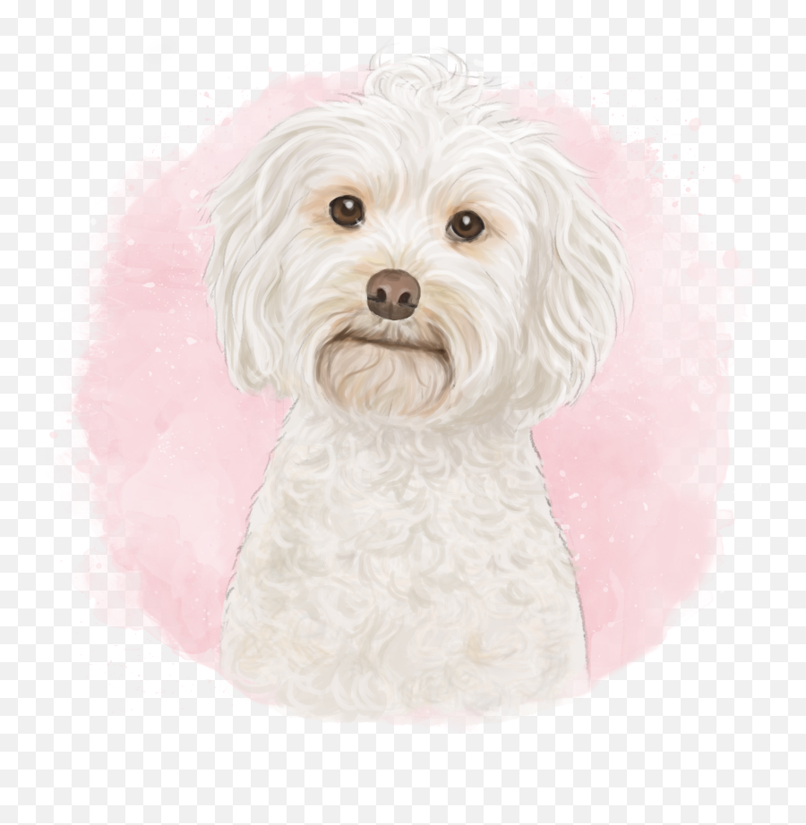 Piper The Cockapoo - Maltese Emoji,Maltese Emoji