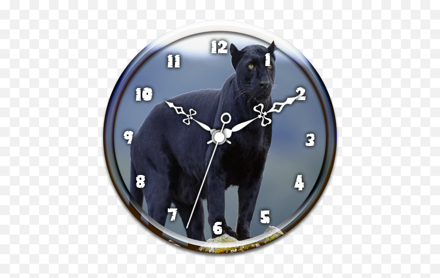 Black Panther Clock Live Wp - Apps On Google Play Black Cat Emoji,Black Panther Emoji
