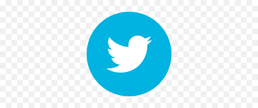 Top Louis Tomlinson Twitter Pack - Twitter Icon Png Round Emoji,Tweet Emoji