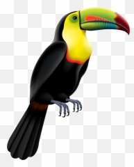 Ftestickers Bird Tropical Toucan - Toucan Png Emoji,Toucan Emoji