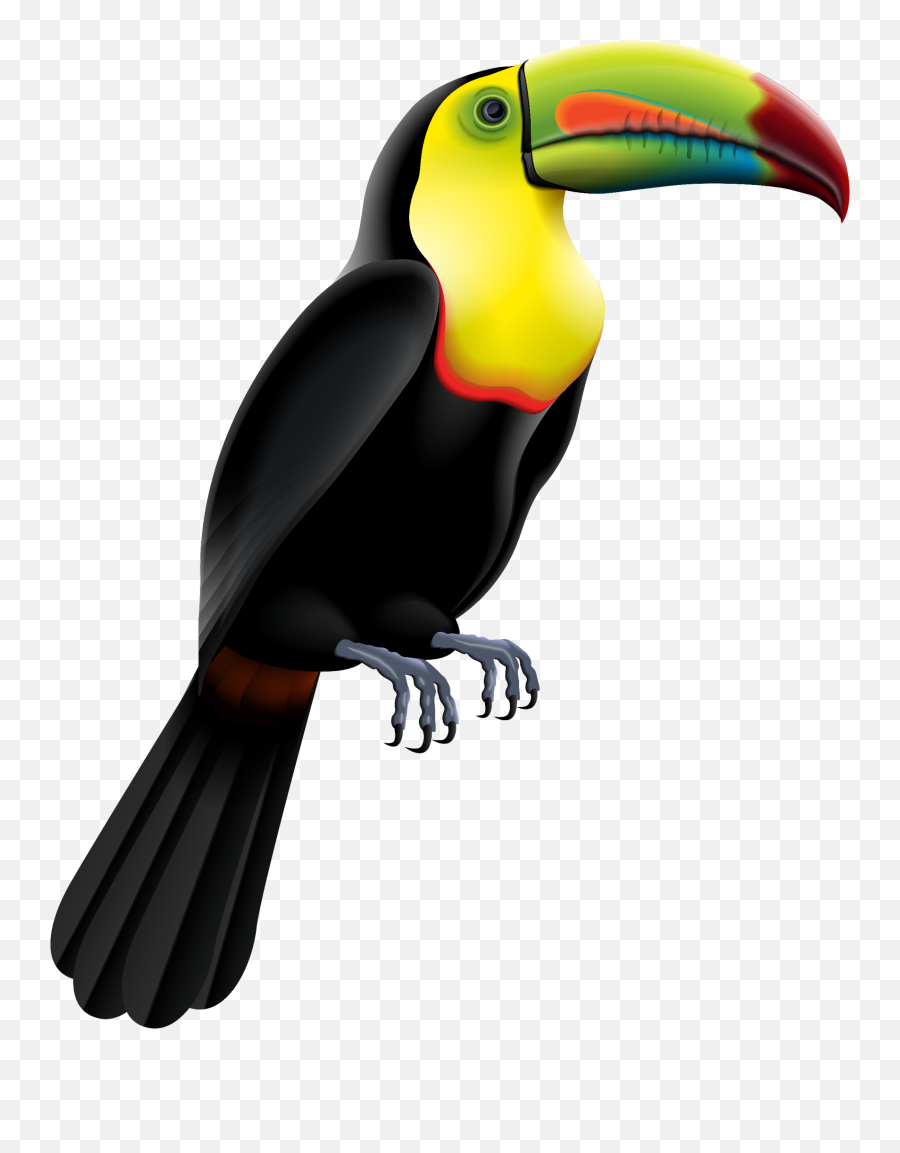 Ftestickers Bird Tropical Toucan - Toucan Png Emoji,Toucan Emoji