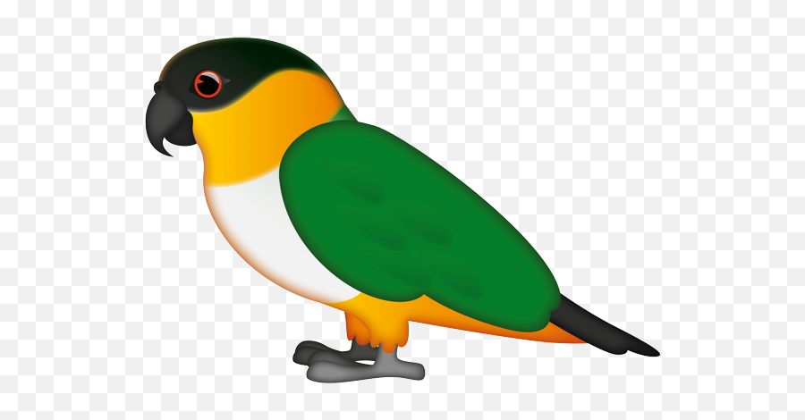 Emoji - Parakeet,Parrot Emoji