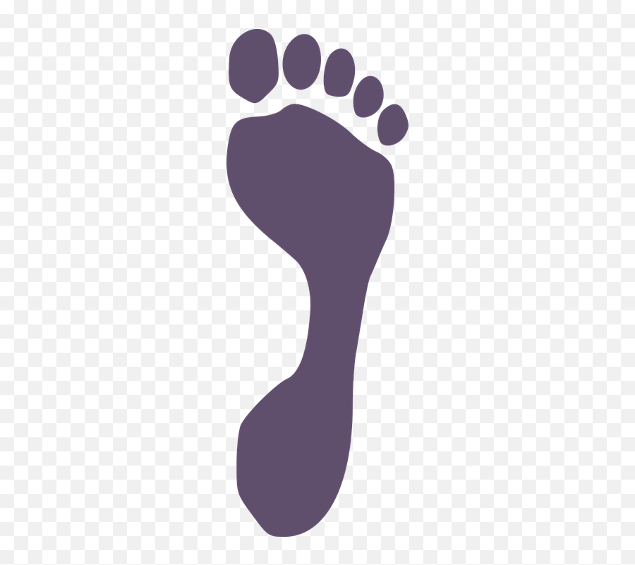 Foot Footprint - Adult Footprint Emoji,Tiger Bear Paw Prints Emoji