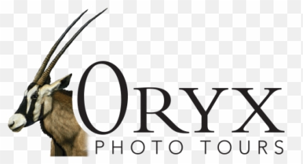 ORYX Photo Tours - Oryx Emoji
