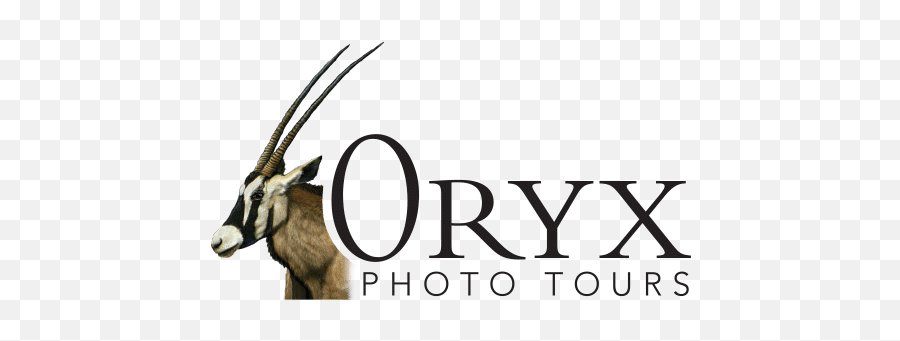 Oryx Photo Tours - Oryx Emoji,Photography Emoji