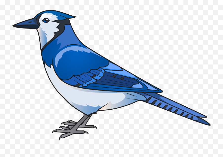 Toronto Blue Jays Clipart Free - Blue Jay Bird Clipart Emoji,Blue Jays Emoji