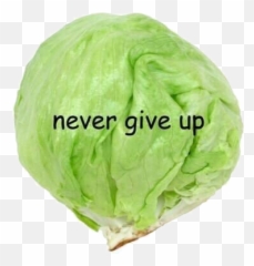 Cabbage Freetoedit - Iceberg Lettuce Emoji,Cabbage Emoji