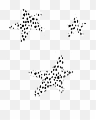 Black White Star Vsco Stars Freetoedit - And Emoji