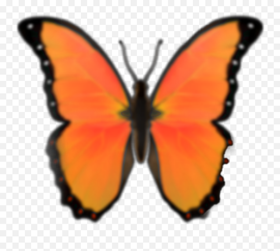 Emoji Butterfly Orange Butterflyemoji - Butterfly Emoji Png Transparent,Orange Emoji Transparent