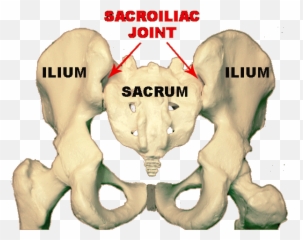 Advice Desperately Needed Lower Back Pain - Page 6 Sacroiliac Joint Rear Emoji,Khmer Flag Emoji