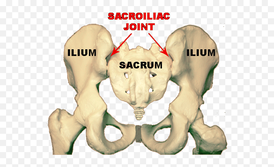 Advice Desperately Needed Lower Back Pain - Page 6 Sacroiliac Joint Rear Emoji,Khmer Flag Emoji