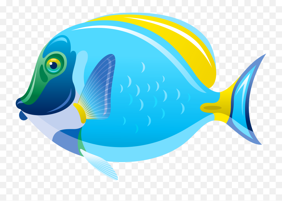 Pictures Of Blue Fishes - Transparent Background Fish Clipart Emoji,Goldfish Emoji