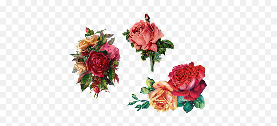 1000 Free Sticker U0026 Label Illustrations - Pixabay Vintage Roses Emoji,Bouquet Emoji
