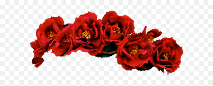 Transparent Flower Crowns - Red Flower Crown Png Emoji,Red Flower Emoji