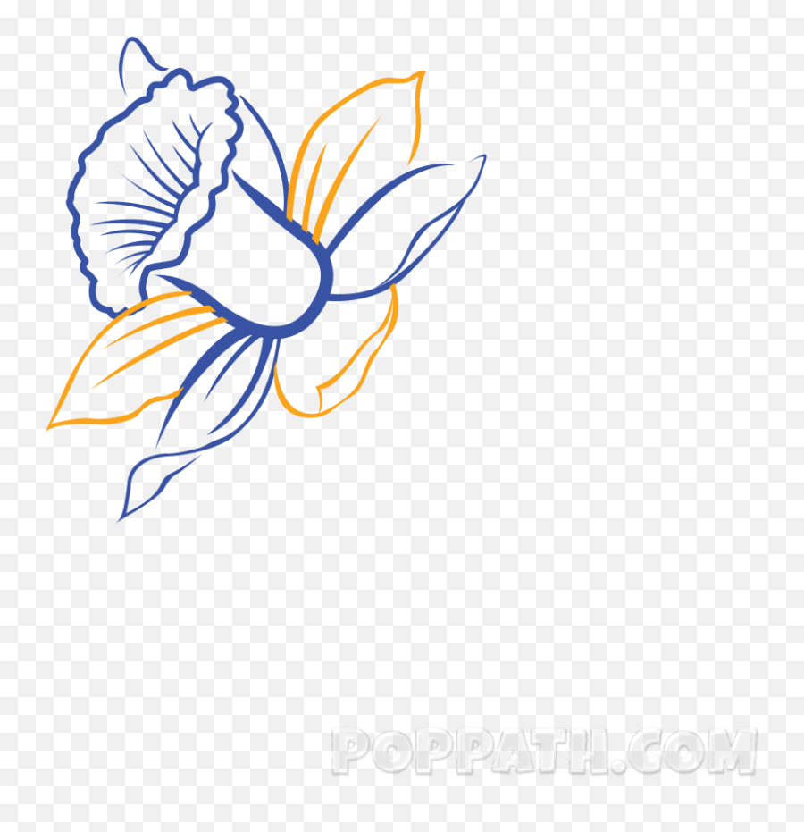 How To Draw A Daffodil - Daffodil Drawing Png Emoji,Lotus Flower Emoji