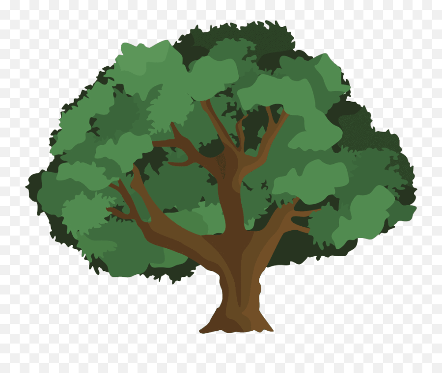 Oak Tree Image - Transparent Background Oak Tree Clipart Emoji,Tree Emoji Png