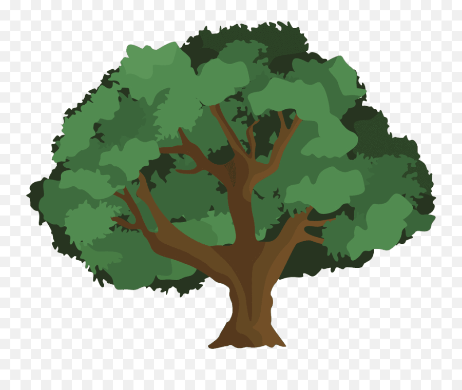 oak-tree-image-transparent-background-oak-tree-clipart-emoji-tree