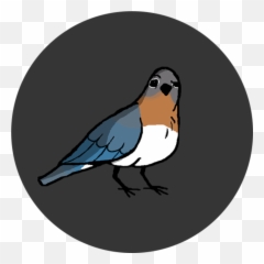 Top 5 Discord Bots Everyone Should Have - Emoji