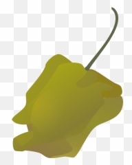 Free Clipart Emoticons Amazed face nicubunu - Habanero Emoji